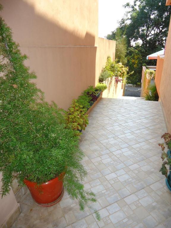 Apartments Villa Micunovic Herceg Novi Habitación foto